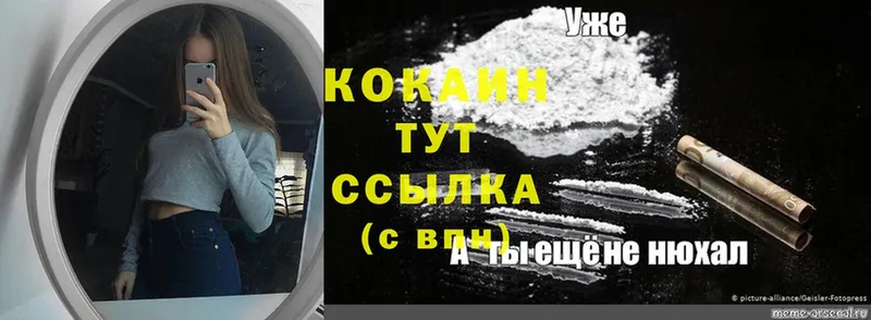 hydra ТОР  Рыльск  Cocaine FishScale 