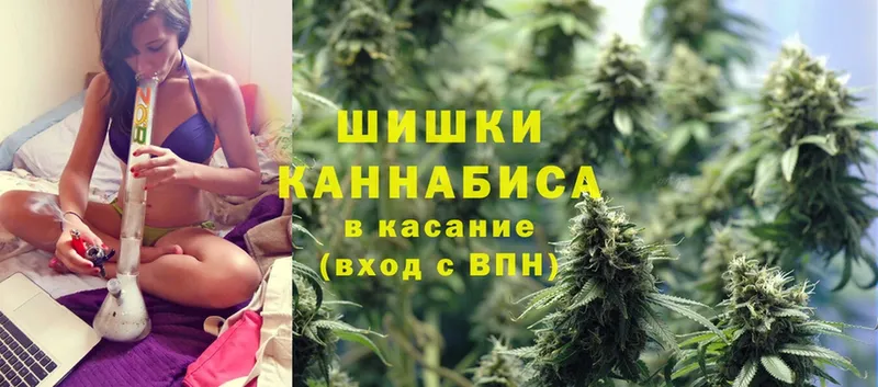 Канабис OG Kush  Рыльск 